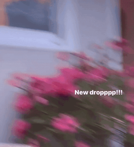A Blurry Picture Of Pink Flowers With The Words New Dropppp !!! Below It GIF