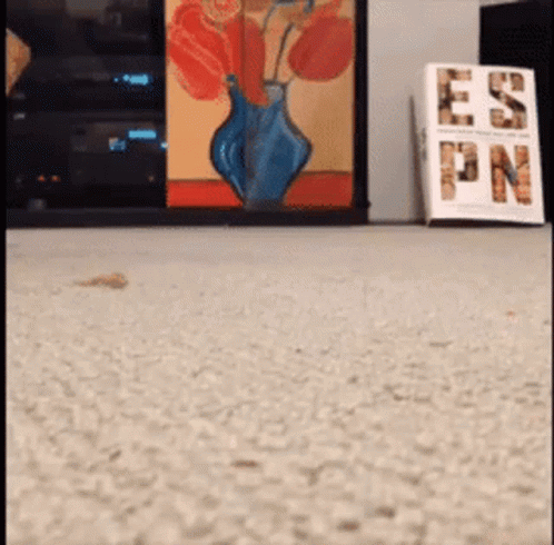 A Book Titled Es Pn Sits On The Floor Next To A Vase GIF