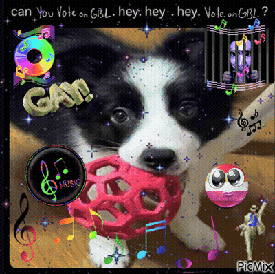 A Border Collie Puppy Is Playing With A Pink Ball And The Words Can You Vote On Gbl Hey Hey Hey Hey Vote On Gbl GIF