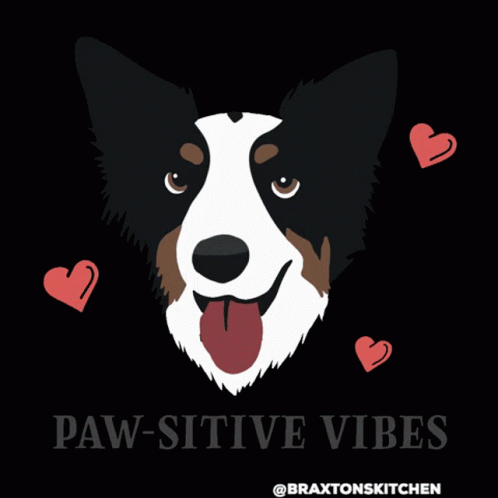 A Border Collie With A Heart And The Words Paw-Sitive Vibes Below It GIF