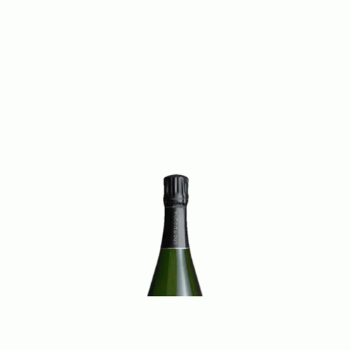 A Bottle Of Champagne With A Black Label That Says Optique On It GIF