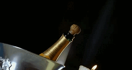 A Bottle Of Champagne With Smoke Coming Out Of It GIF