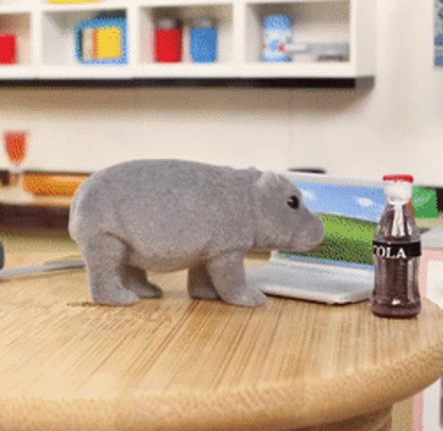A Bottle Of Cola Sits Next To A Stuffed Animal On A Table GIF