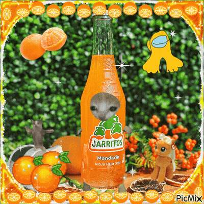 A Bottle Of Jarritos Mandarin Natural Flavor Soda Surrounded By Oranges GIF