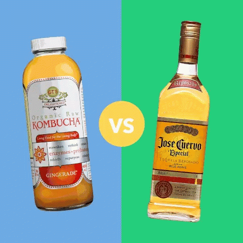 A Bottle Of Kombucha Sits Next To A Bottle Of Jose Cuervo Tequila GIF