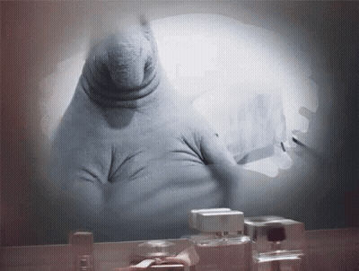 A Bottle Of Perfume Sits In Front Of A Mirror With A Reflection Of A Seal GIF
