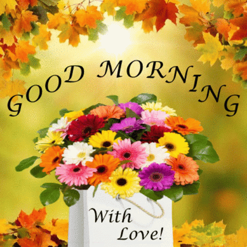 A Bouquet Of Flowers In A White Bag With The Words " Good Morning With Love " GIF