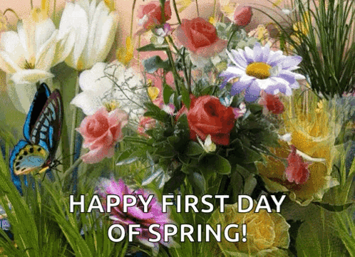 A Bouquet Of Flowers With The Words Happy First Day Of Spring Written On It GIF