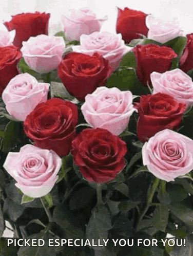 A Bouquet Of Pink And Red Roses With The Words Picked Especially You For You GIF