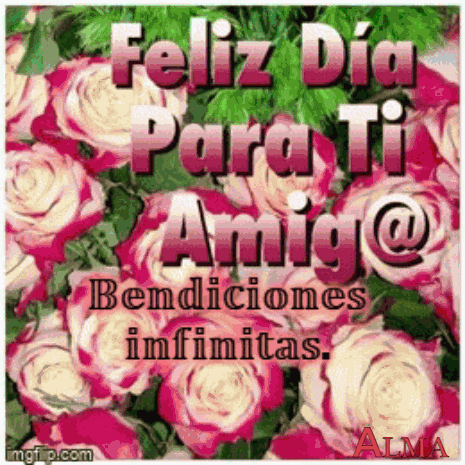 A Bouquet Of Pink And White Roses With The Words Feliz Dia Para Ti Amigo @ Bendiciones Infinitas GIF