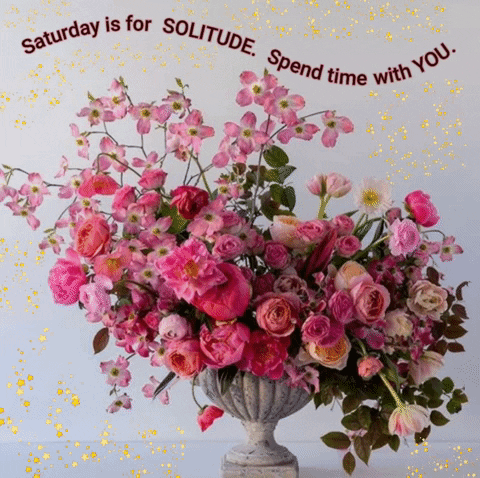 A Bouquet Of Pink Flowers In A Vase With A Quote That Says Saturday Is For Solitude Spend Time With You GIF