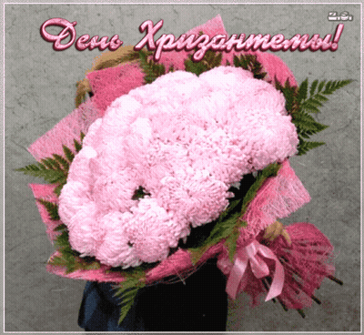 A Bouquet Of Pink Flowers Is Wrapped In Pink Paper And Has The Words " Dens Xpizarmens " On The Bottom GIF