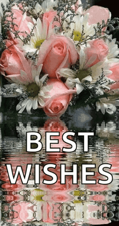 A Bouquet Of Pink Roses And Daisies With The Words " Best Wishes " On The Bottom GIF