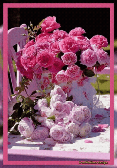 A Bouquet Of Pink Roses Sits On A Table With A Purple Chair In The Background GIF