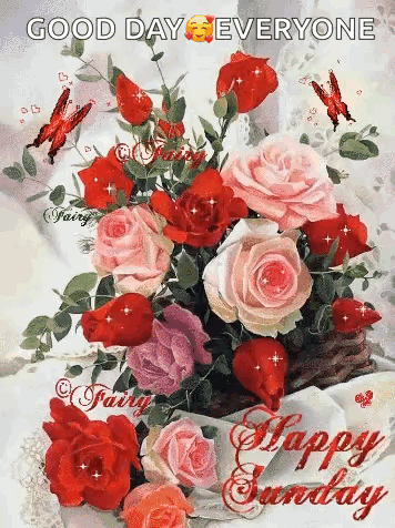 A Bouquet Of Red And Pink Roses With A Happy Sunday Message . GIF