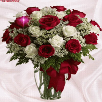 A Bouquet Of Red And White Roses In A Vase With The Words Trendizisst On The Bottom GIF