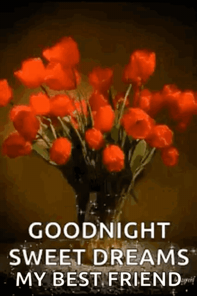 A Bouquet Of Red Flowers In A Vase With The Words `` Goodnight Sweet Dreams My Best Friend '' GIF
