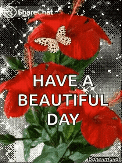 A Bouquet Of Red Flowers With A Butterfly On Top Of Them . GIF
