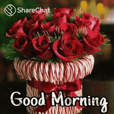 A Bouquet Of Red Roses In A Basket With The Words `` Good Morning '' Written Above It . GIF