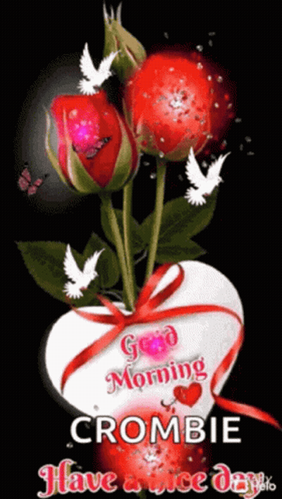 A Bouquet Of Red Roses In A Heart Shaped Vase With The Words `` Good Morning Crombie '' Written On It . GIF
