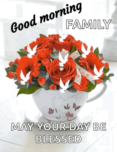 A Bouquet Of Red Roses In A White Cup With The Words " May Your Day Be Blessed " GIF