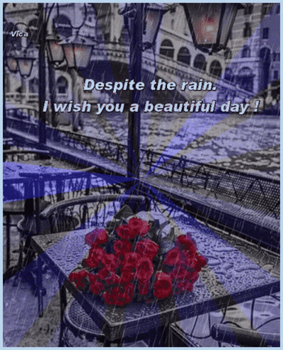 A Bouquet Of Red Roses Sits On A Table In The Rain With The Words " Despite The Rain I Wish You A Beautiful Day " GIF