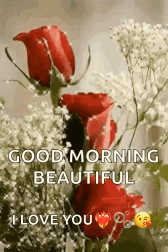 A Bouquet Of Red Roses With Baby 'S Breath And The Words `` Good Morning Beautiful '' GIF