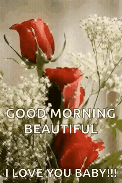 A Bouquet Of Red Roses With Baby 'S Breath On Them And The Words `` Good Morning Beautiful I Love You Baby '' . GIF