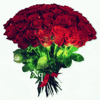 A Bouquet Of Red Roses With Green Leaves And The Letters Ng GIF