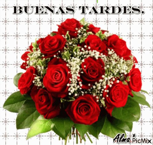 A Bouquet Of Red Roses With The Words " Buenas Tardes " Written Above It GIF