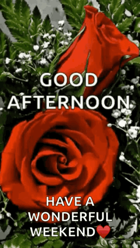A Bouquet Of Red Roses With The Words `` Good Afternoon Have A Wonderful Weekend '' Written On It . GIF