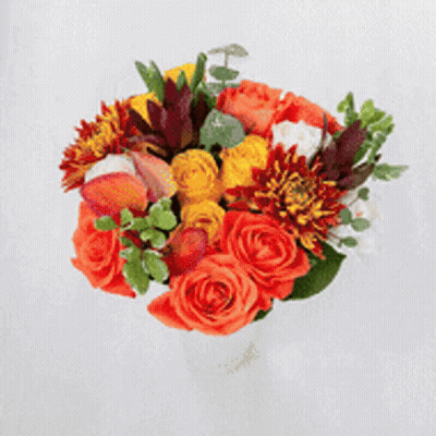 A Bouquet Of Red , White And Purple Flowers On A White Surface . GIF