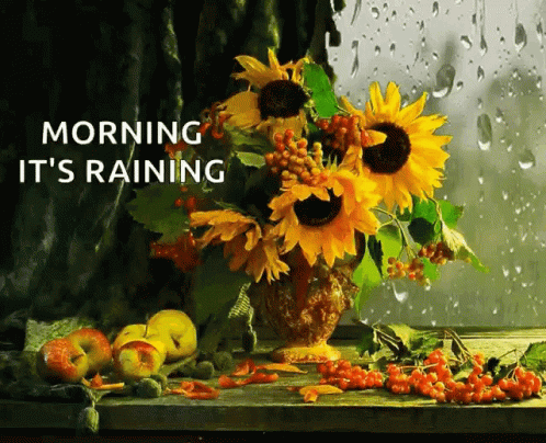 A Bouquet Of Sunflowers In A Vase On A Table With The Words Morning It 'S Raining Above It GIF