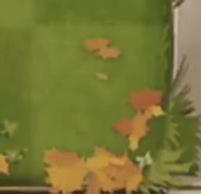 A Bowl Of Cereal Is Sitting On Top Of A Turtle . GIF