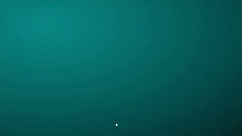 A Box That Says Congratulations On The Top GIF