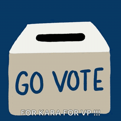 A Box That Says Go Vote On It GIF
