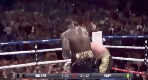 A Boxing Match Between Wilder And Fury Is Being Played GIF