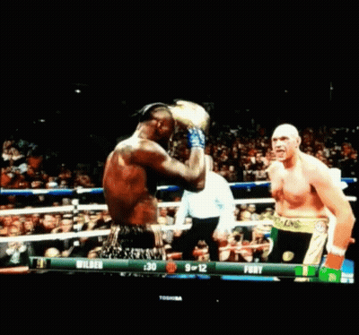 A Boxing Match Between Wilson And Fury Is On A Toshiba Television GIF
