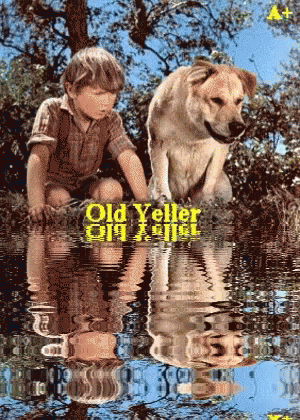A Boy And A Dog Are Playing In The Water With The Words Old Yeller On The Bottom Right GIF