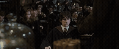 A Boy In A Harry Potter Costume Stands In Front Of A Crowd GIF