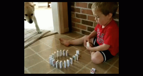 A Boy In A Red Shirt Is Playing Dominoes On The Floor While A Dog Watches . GIF