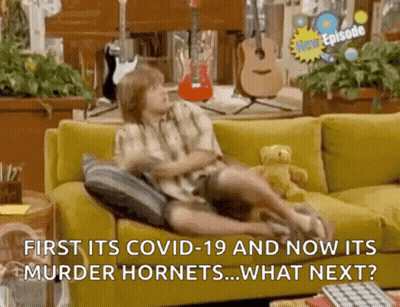 A Boy Is Sitting On A Yellow Couch With A Guitar In The Background And Says First Its Covid-19 And Now Its Murder Hornet GIF