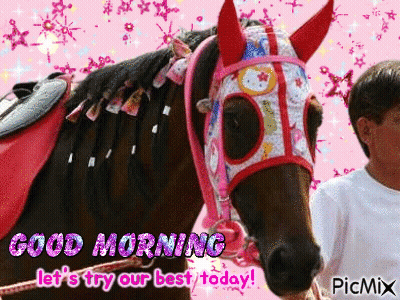 A Boy Is Standing Next To A Horse With A Pink Bridle On It . GIF