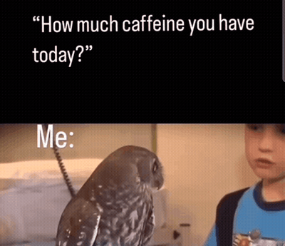 A Boy Talking To An Owl With The Words " How Much Caffeine You Have Today " Below It GIF
