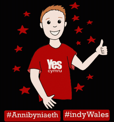 A Boy Wearing A Red Shirt That Says Yes Cymru Is Giving A Thumbs Up GIF