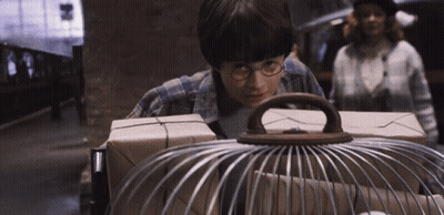 A Boy With Glasses Is Holding A Bird Cage GIF