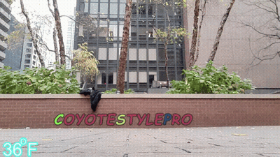 A Brick Wall Has Coyotestylepro Written On It GIF