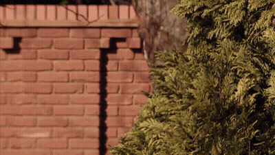 A Brick Wall With A Shadow Of A Person On It GIF