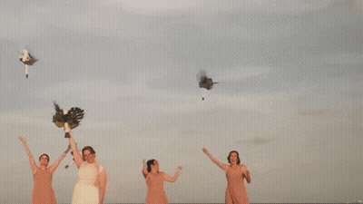 A Bride And Her Bridesmaids On The Beach GIF