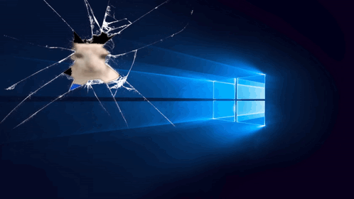 A Broken Computer Screen With A Cat Looking Through It GIF